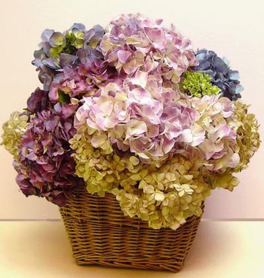 Crie vasos com as flores secas (Foto: Reprodução)